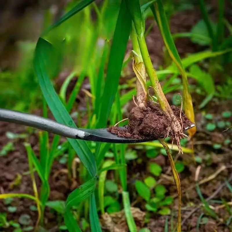 Rostfreier Gartenspaten zum Jäten und Gemüsegraben.