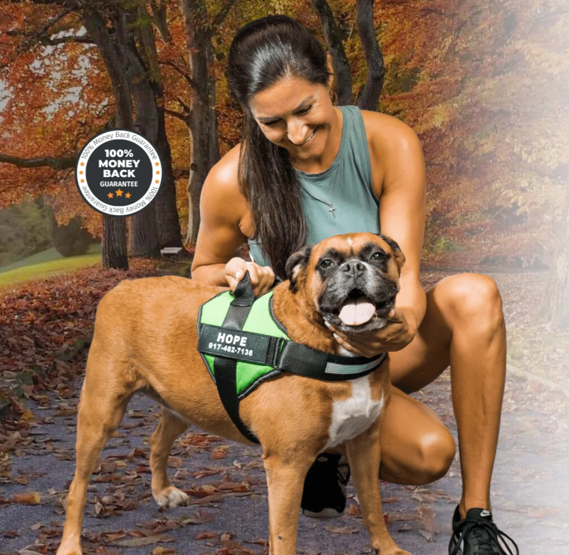 Verstellbares Hundegeschirr – SafeWalk™