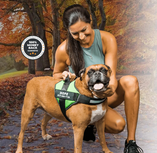 Verstellbares Hundegeschirr – SafeWalk™