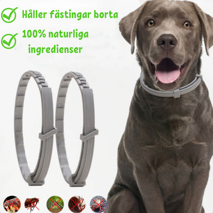 Sin garrapatas – collar para perros y gatos